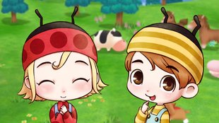 Kinder bekommen | Story of Seasons: Friends of Mineral Town