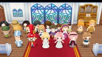 Konservierte Blume und Blaue Feder finden | Story of Seasons: Friends of Mineral Town