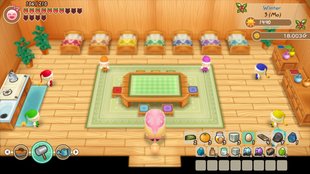 Naturgeister anfreunden | Story of Seasons: Friends of Mineral Town