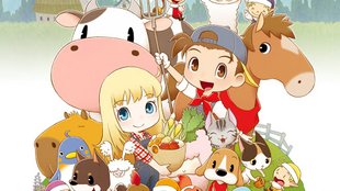 Tipps zum Start | Story of Seasons: Friends of Mineral Town