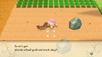 Schnell Geld verdienen | Story of Seasons: Friends of Mineral Town