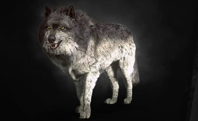 Gerakt gehört zwar der Wolfsschule an, den wilden Wölfen ist das aber egal. (Quelle: Screenshot spieletipps.de)