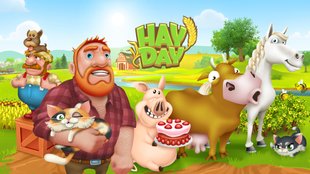 Hay Day | Farmnamen ändern und Namen suchen