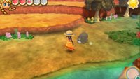 Story of Seasons - Trio of Towns: Wilde Tiere: Alles, was ihr wissen müsst