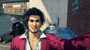 Yakuza: Like a Dragon – Fundorte aller Kappa-Statuen und Katzen