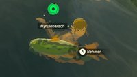 Zelda: Breath of the Wild | Alle Fische: Zitterforelle, Maxi-Barsch & Co. fangen