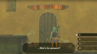 Gerudo-Passwort finden und Geheim-Club betreten - Zelda: Breath of the Wild