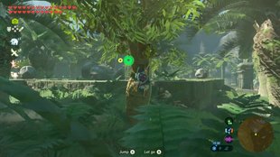 Maxi-Durians farmen und beste Heilung bekommen - Zelda: Breath of the Wild