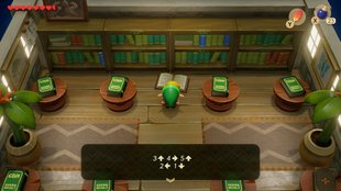 Geheimen Farbdungeon finden und abschließen | Zelda: Link's Awakening (Switch)