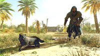 Assassin’s Creed Mirage: Geheime Katzenquest finden und lösen