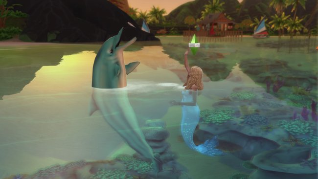 Spielt mit den Delfinen im Wasser und genießt das Leben im Meer.