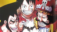 One Piece Theorie: Was ist das One Piece?