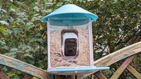 Birdfy im Test: Unauffällige Überwachungskamera in Futterstation mit Vogel-KI