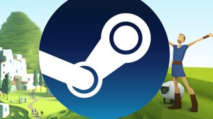 Nach 7 Jahren fliegt eine der größten Steam-Mogelpackungen endlich aus dem Store