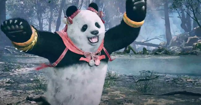 Panda in Tekken 8