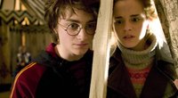 Der Synchronsprecher Harry Potters: Die Stimme des Auserwählten