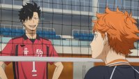 „Haikyu!!“ Staffel 5: Die Krähen kehren auf's Spielfeld zurück