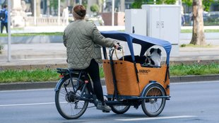 Lastenräder im Visier: Das Problem ist größer als befürchtet