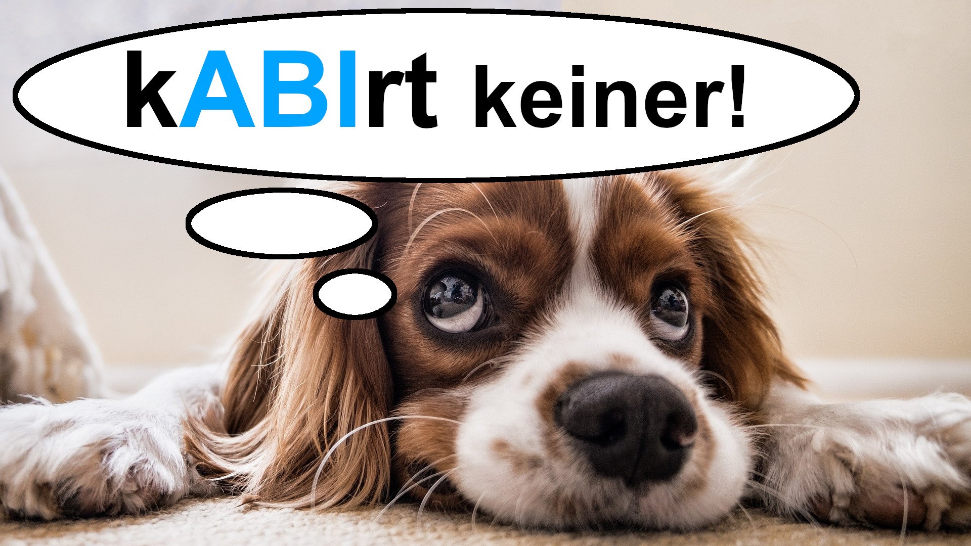 AbiMottos Die 90 besten AbiturSprüche für das Jahr 2024 & Co.