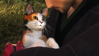 Rise of the Ronin: Alle Katzen finden