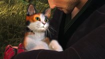 Rise of the Ronin: Alle Katzen finden