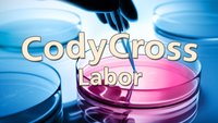 CodyCross: „Labor“ – Lösungen für Level 301 bis 320