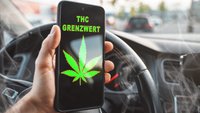 Cannabis im Auto – welcher THC-Wert ist noch erlaubt?