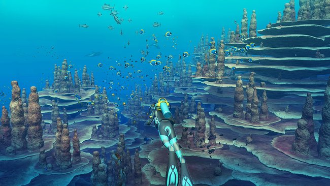Grafisch reißt Endless Ocean Luminous keine Bäume aus, sieht in den besten Momenten aber wirklich schick aus. (BIldquelle: Nintendo)