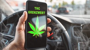 Cannabis im Auto – welcher THC-Wert ist noch erlaubt?