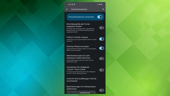 Screenshot der Entwicklereinstellungen.