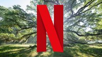 Alle sehen ihn bei Netflix: Dieser Film wird euch den Abend retten