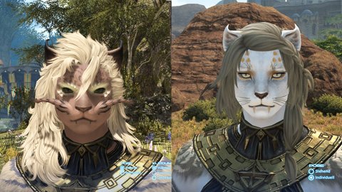 FF14: Was euch in Dawntrail erwartet  Dungeons, Quests und mehr