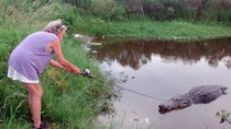 17 Florida-Männer, deren Dummheit mehr schmerzt als ein Alligator-Biss