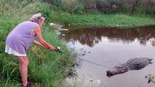 17 Florida-Männer, deren Dummheit mehr schmerzt als ein Alligator-Biss