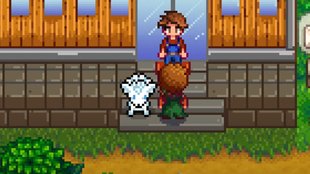 Stardew Valley: Mods für witzige und praktische Extras