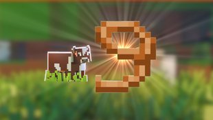 Minecraft: Leine craften, befestigen und lösen