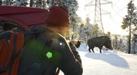 Survival-Tipp auf Steam: Knallharte Open-World-Sim um 50 Prozent reduziert