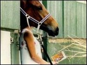 Foto trickst Auge aus! - Geschickt mit der Perspektive gespielt!