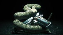 Hitman: Absolution - Die Probleme von Kane & Lynch 2 werden nicht wiederholt