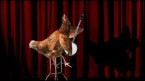 Musikalische Tiere - Diese Tiere lassen etwas von sich hören