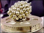 Negativ-Oscar - Die goldene Himbeere 2010