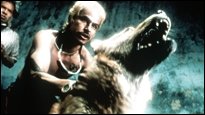 Robins Filmtipp - Amores perros