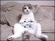Wenn's schnell sein muss - 24 Games gegen kurz- oder längerfristige Langeweile