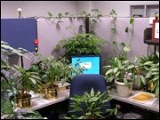 WTF News des Tages - Prank Deluxe - Die besten Büro-Streiche