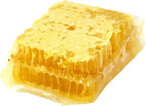 Läuft Android 3.0 "Honeycomb" nur auf Dual-Core-CPUs?