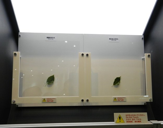 Invisible Glass: Neue Technologie für (fast) reflexionsfreie Displays