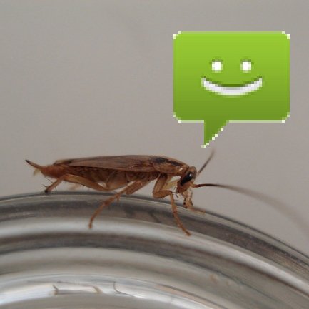 Android SMS-Bug: Fixes für zwei Fehler fertig